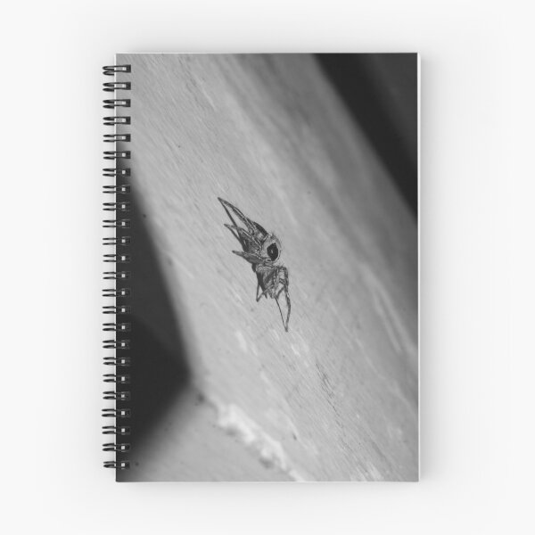 Item preview, B&W - Jumping Spider_Closeup on the Wall designed and sold by ROSE ANN BANILAR.