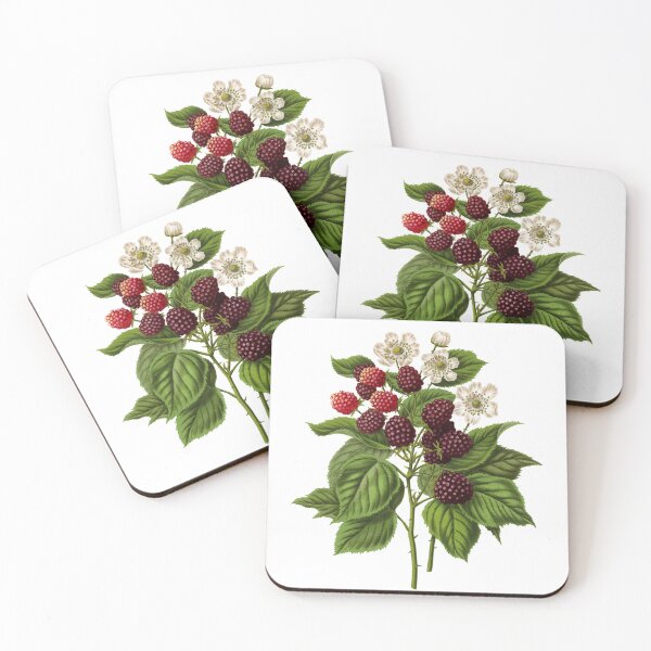 Item preview, Juicy British Blackberries designed and sold by Wry.