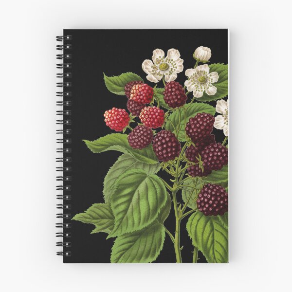 Item preview, Juicy British Blackberries designed and sold by Wry.