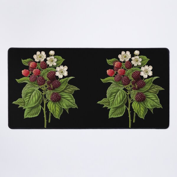 Item preview, Juicy British Blackberries designed and sold by Wry.