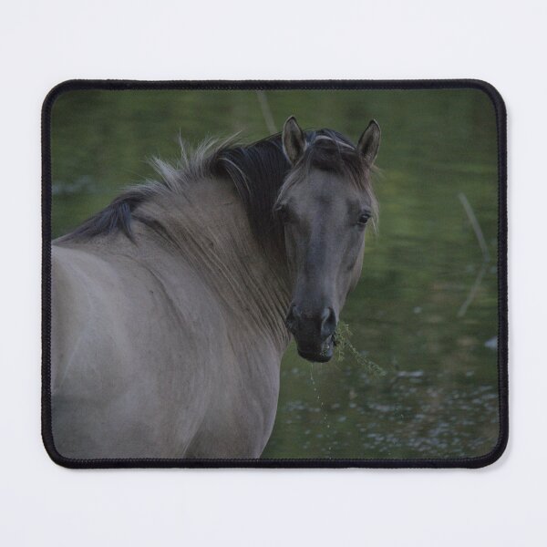 Item preview, Frozen reality - Beautiful nature 979 designed and sold by deep-sea-birds.