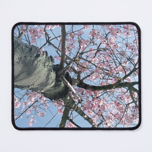Item preview, Berlin Spring Tree designed and sold by Pai Lokli.