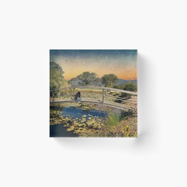 Item preview, TRANQUIL SCENE OF WALKING BRIDGE DONE IN MODERN PICTORIALISM STYLE designed and sold by Barbara Jean Photo Art And Design.