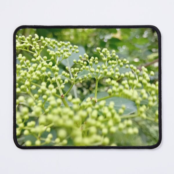 Item preview, Berlin Green Blossoms designed and sold by Pai Lokli.