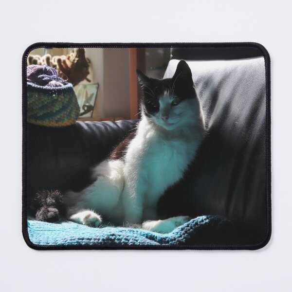 Item preview, Sunlit Cat on Sofa designed and sold by cuprum.