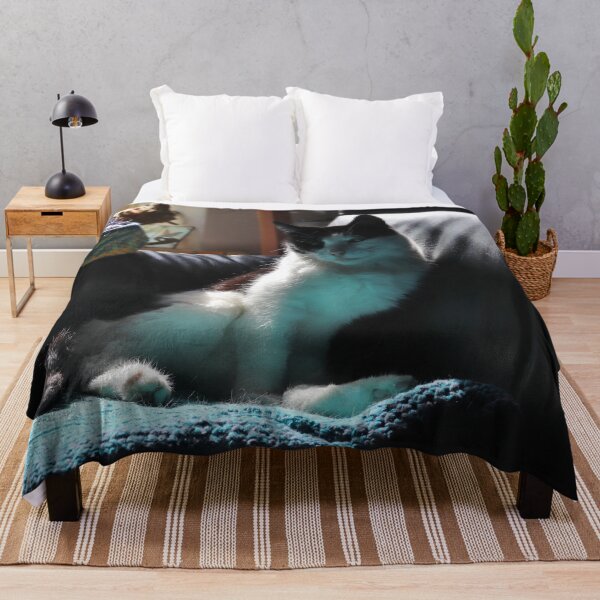 Item preview, Sunlit Cat on Sofa designed and sold by cuprum.