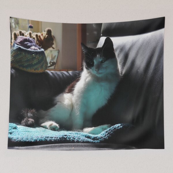 Item preview, Sunlit Cat on Sofa designed and sold by cuprum.