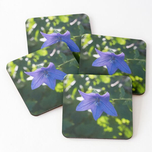 Item preview, Blueish Purple Balloon Flower Blossom in Sun Dappled Garden designed and sold by Georgia Mizuleva.