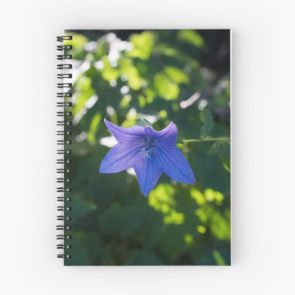 Item preview, Blueish Purple Balloon Flower Blossom in Sun Dappled Garden designed and sold by Georgia Mizuleva.