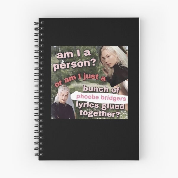 Item preview, Am I A Person? Or Am I Just A Bunch Of Phoebe Bridgers Lyrics Glued Together? designed and sold by Aliciastubs.