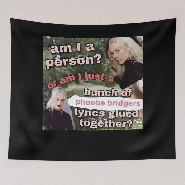 Item preview, Am I A Person? Or Am I Just A Bunch Of Phoebe Bridgers Lyrics Glued Together? designed and sold by Aliciastubs.