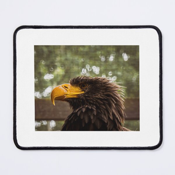 Item preview, Steller's Sea Eagle Portrait – Majestic Bird of Prey designed and sold by Tammigrafie.