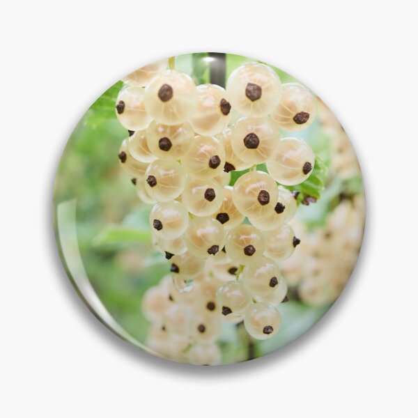 Item preview, Poetry. White currant designed and sold by Jouko Lehto Photography.
