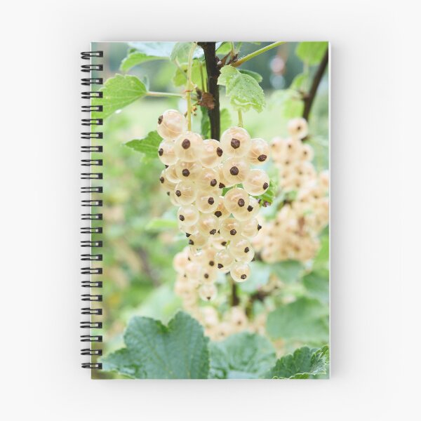 Item preview, Poetry. White currant designed and sold by Jouko Lehto Photography.