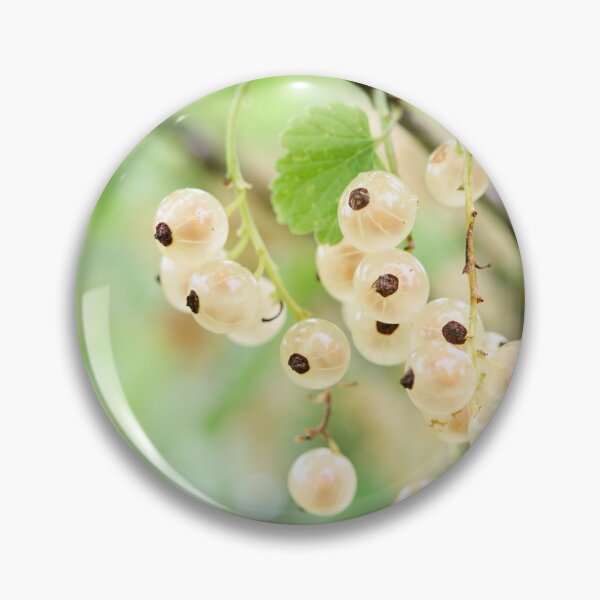 Item preview, Late summer berries. White currant designed and sold by Jouko Lehto Photography.