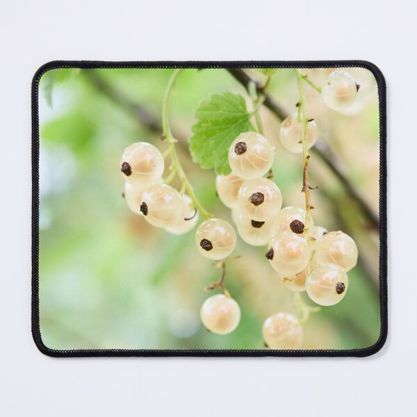 Item preview, Late summer berries. White currant designed and sold by Jouko Lehto Photography.