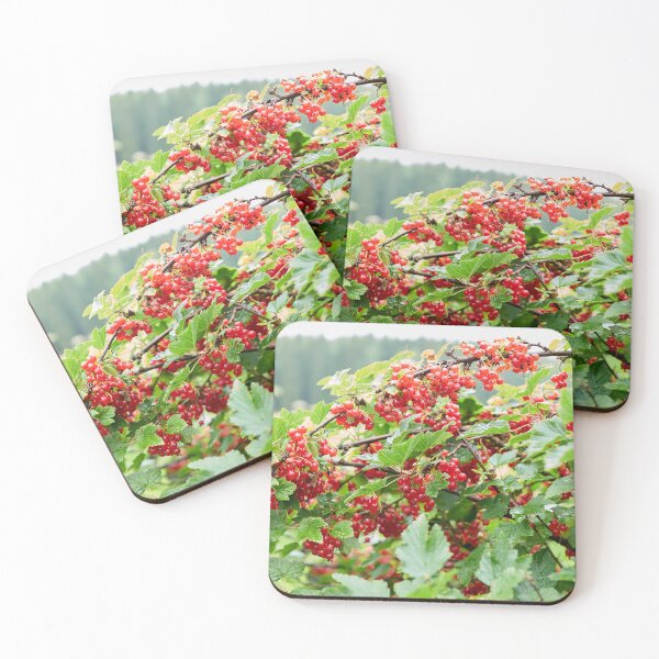 Item preview, A good year. Redcurrant. designed and sold by Jouko Lehto Photography.
