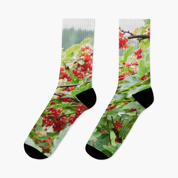 Item preview, A good year. Redcurrant. designed and sold by Jouko Lehto Photography.