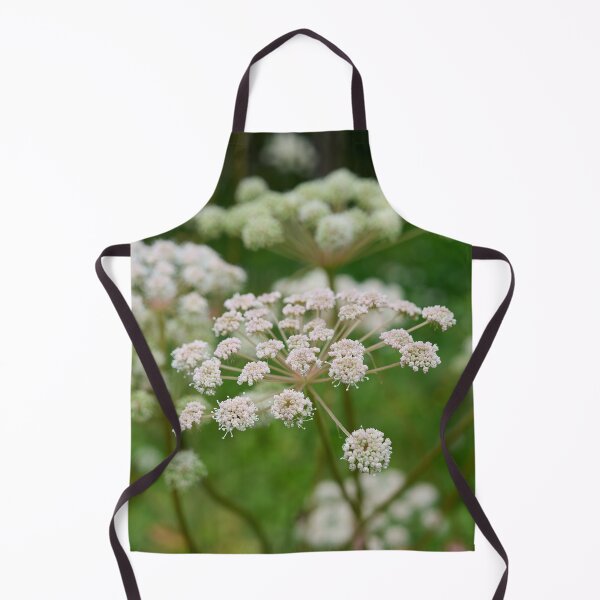 Item preview, Sylvestris. Wild Angelica designed and sold by Jouko Lehto Photography.