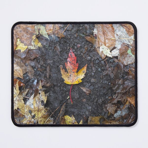 Item preview, Bright Orange Leaf Fallen on the Ground designed and sold by TerraeVagus.