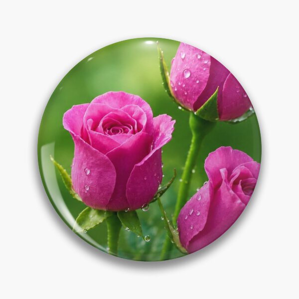Item preview, Pink Rose Trio With Water Droplets in Bloom designed and sold by Wild Bloom Paws.