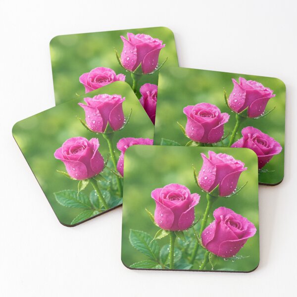 Item preview, Pink Rose Trio With Water Droplets in Bloom designed and sold by Wild Bloom Paws.