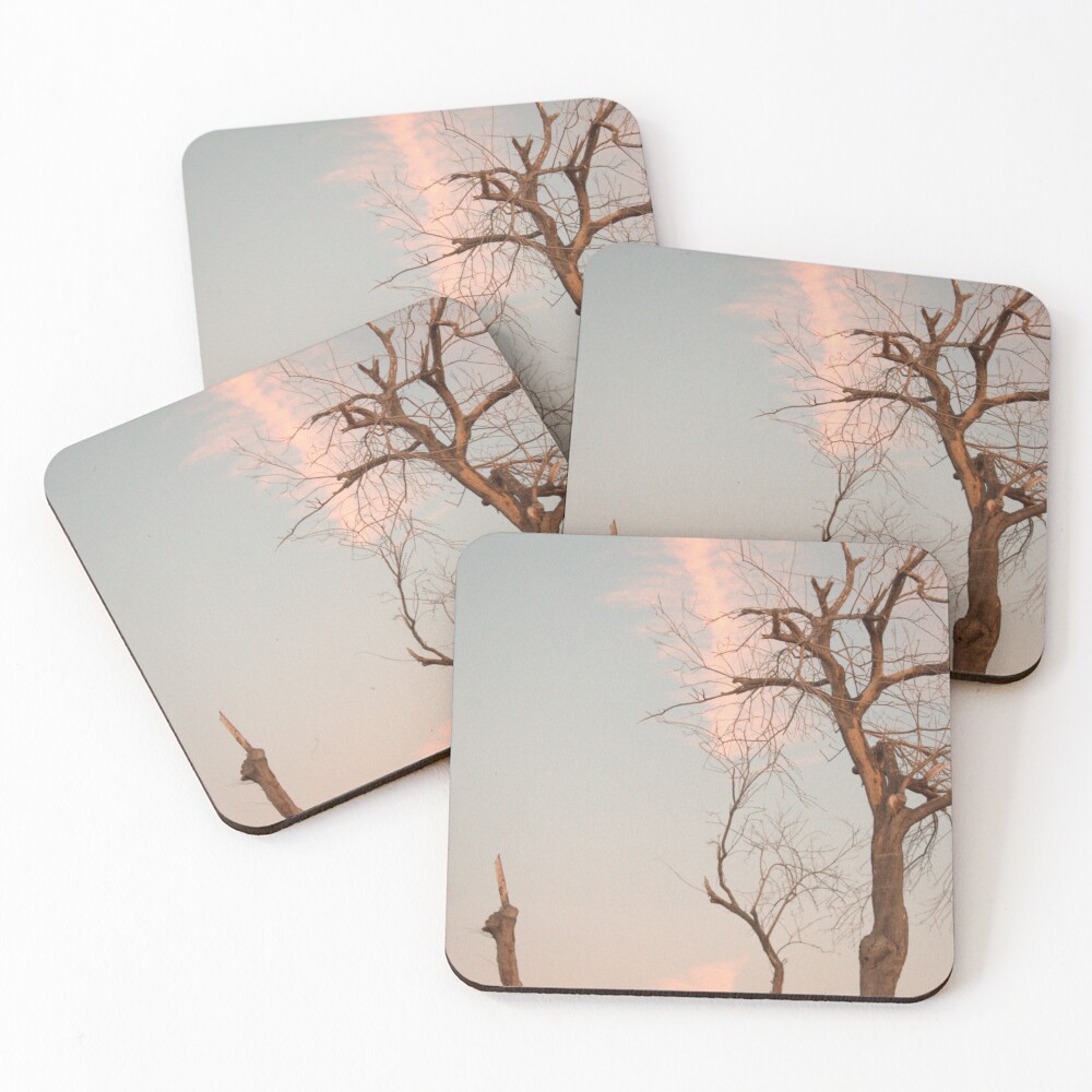 Item preview, Coasters (Set of 4) designed and sold by MangoSeeds2.