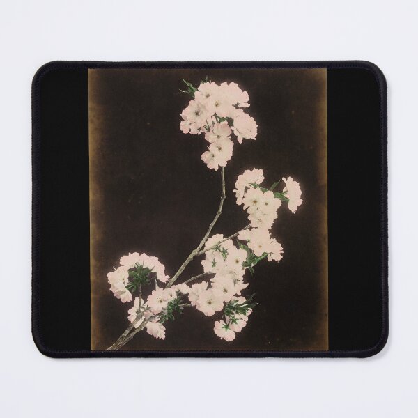 Item preview, Cherry Blossom Snap designed and sold by Wry.
