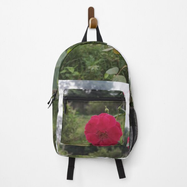 Item preview, Bloom Where You Are Planted | Pink Rose in Nature | Beautiful Floral Photography designed and sold by Ishratparween11.
