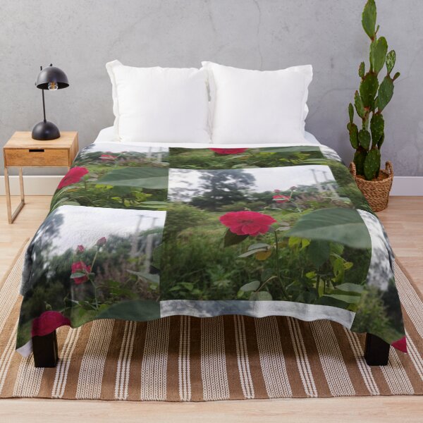Item preview, Bloom Where You Are Planted | Pink Rose in Nature | Beautiful Floral Photography designed and sold by Ishratparween11.