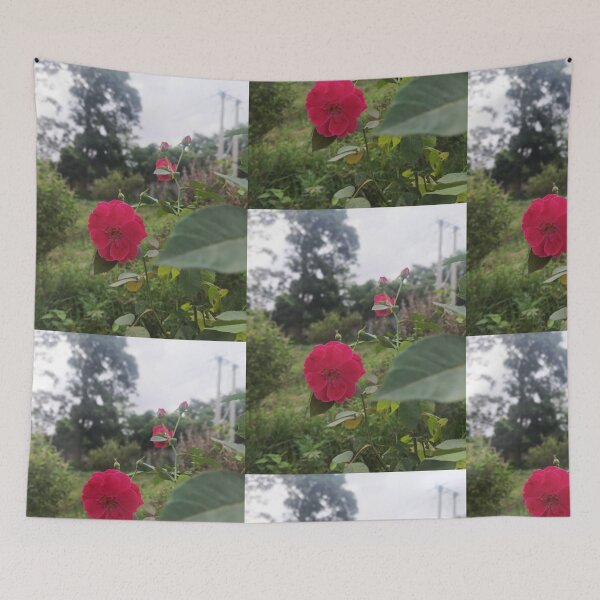 Item preview, Bloom Where You Are Planted | Pink Rose in Nature | Beautiful Floral Photography designed and sold by Ishratparween11.