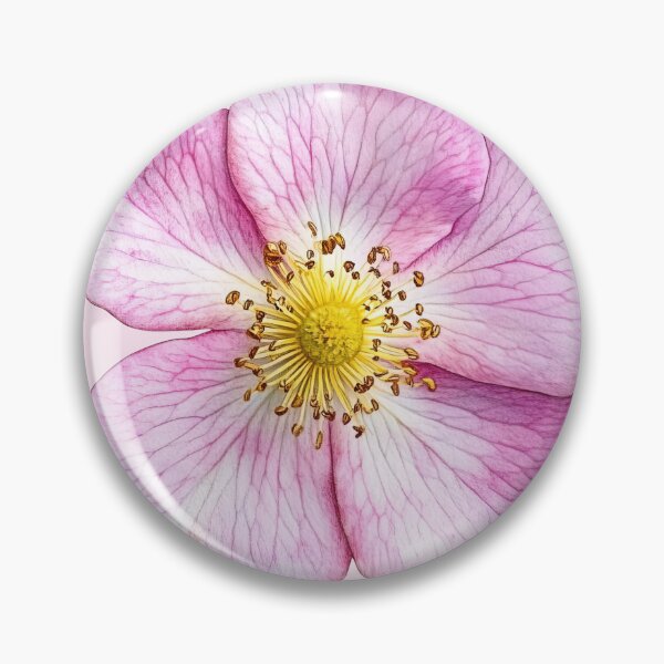 Item preview, Pink Wild Rose Botanical Flower Illustration designed and sold by jianina-alondra.