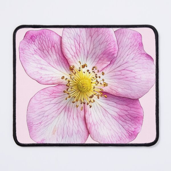 Item preview, Pink Wild Rose Botanical Flower Illustration designed and sold by jianina-alondra.