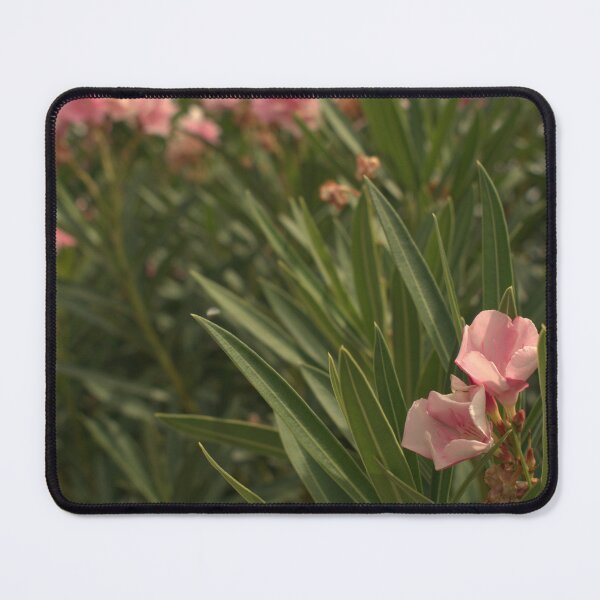Item preview, Pink Oleander 2 designed and sold by MangoSeeds2.