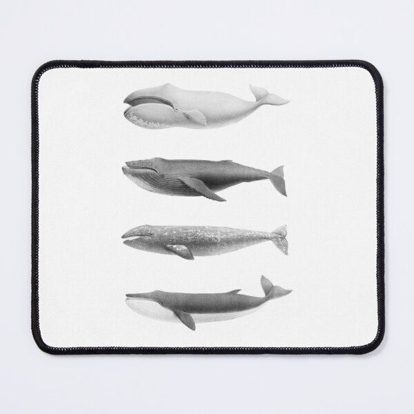 Item preview, Vintage Whale Illustration – Minimal Black and White Ocean Animals designed and sold by Good_Things.