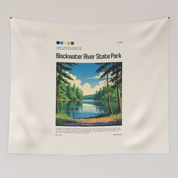 Item preview, Blackwater River State Park Poster (Florida), USA designed and sold by PinkandP.