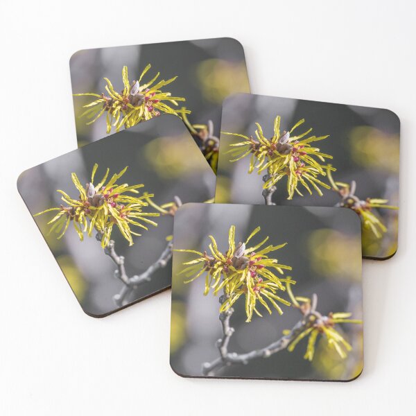 Item preview, Hemamelis flower designed and sold by OE993.