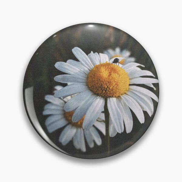 Item preview, Wild Daisy Flowers In Dark Grass Photo designed and sold by Nature Moments.