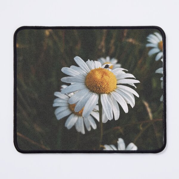 Item preview, Wild Daisy Flowers In Dark Grass Photo designed and sold by Nature Moments.