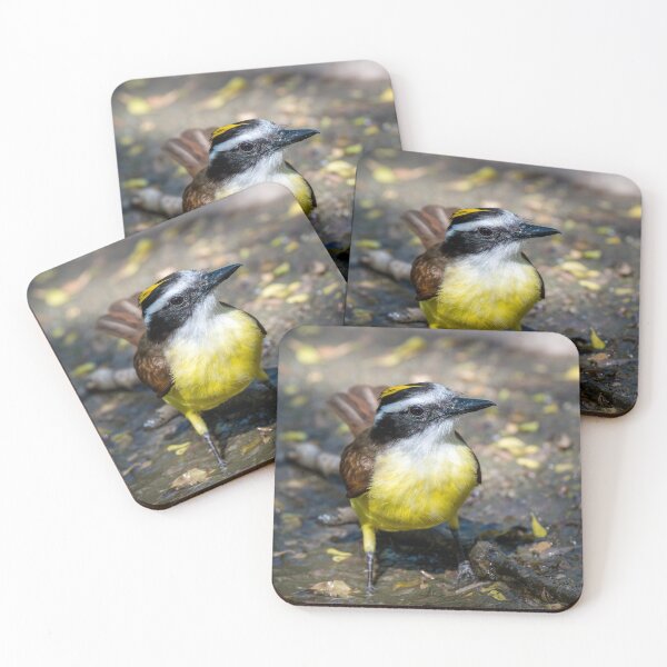 Item preview, Great Kiskadee in a Rain Puddle designed and sold by Debra Martz.