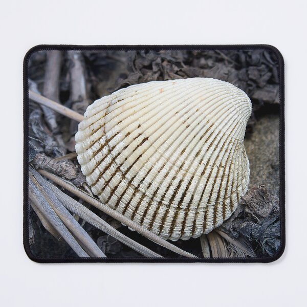 Item preview, Empty striated mollusc shell among dry vegetation designed and sold by By Sanata Photography.