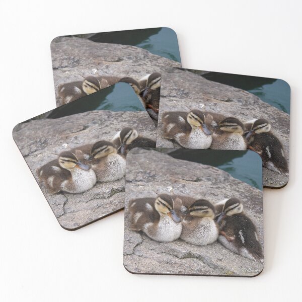Item preview, Three ducklings huddled together on a rock designed and sold by By Sanata Photography.