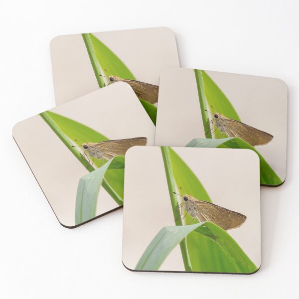 Item preview, Patrón del Mediterráneo designed and sold by Ralph Goldsmith.