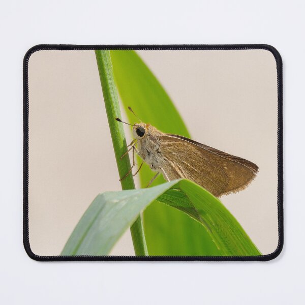 Item preview, Mediterranean Skipper designed and sold by Ralph Goldsmith.