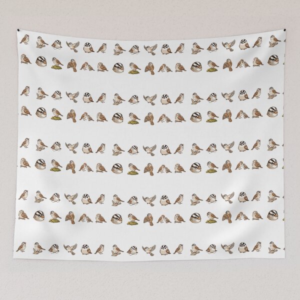 Item preview, Cute White Crowned Sparrow Songbird Aesthetics designed and sold by Rehnair.