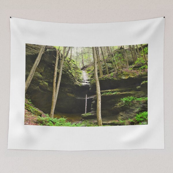 Item preview, Tranquil Forest Waterfall Hocking Hill Ohio designed and sold by LisaWootenPhoto.