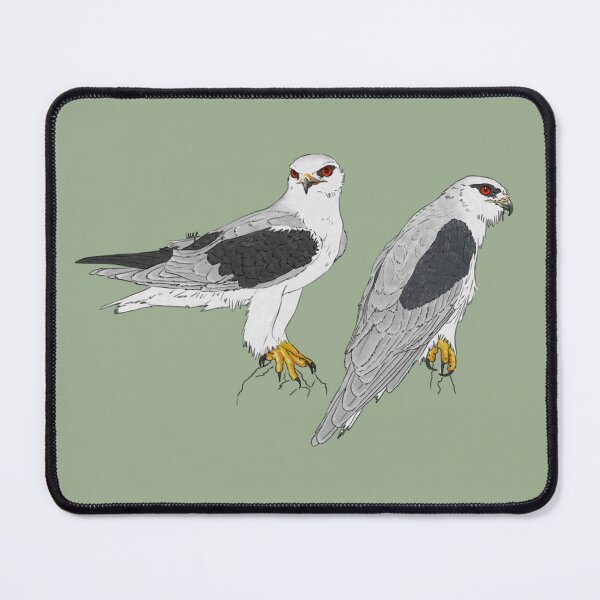 Item preview, Black-winged Kite designed and sold by Luzeilustración.