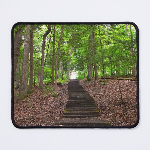 Item preview, Forest Pathway Stairs designed and sold by LisaWootenPhoto.