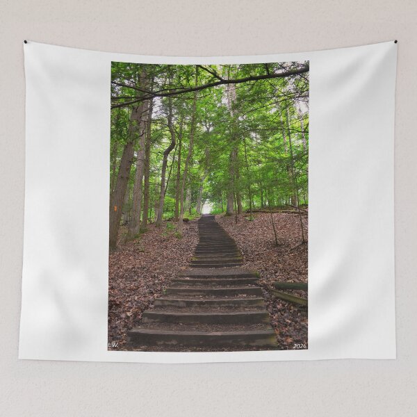 Item preview, Forest Pathway Stairs designed and sold by LisaWootenPhoto.