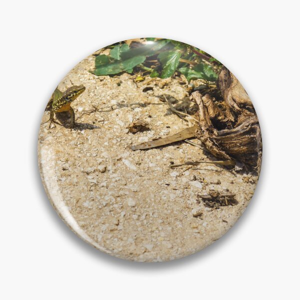 Item preview, Small Green Lizard Sunbathing on Sandy Path Beside Dry Roots and Green Weeds designed and sold by Nmallia.